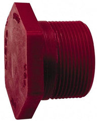 NIBCO - 2" PVDF Plastic Pipe Threaded Plug - Schedule 80, MIPT x MIPT End Connections - Americas Industrial Supply