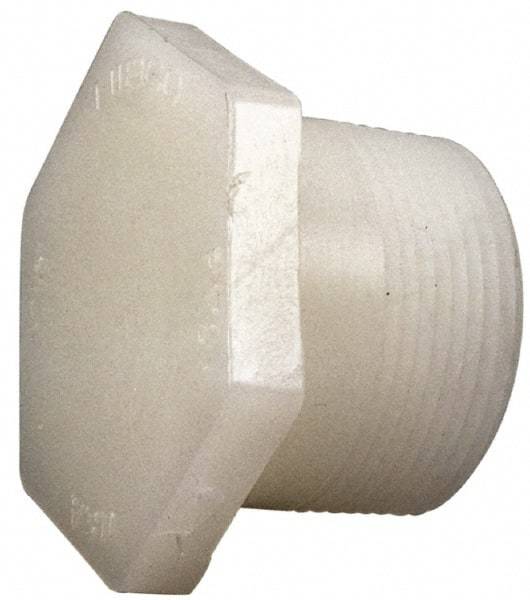 NIBCO - 2" PVDF Plastic Pipe Threaded Plug - Schedule 80, MIPT End Connections - Americas Industrial Supply