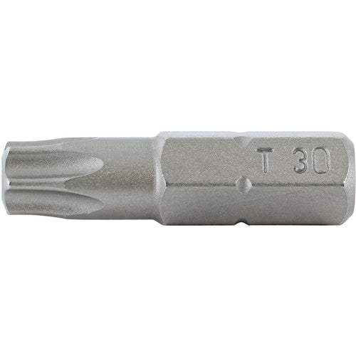 T30X25MM TORX 10PK - Americas Industrial Supply