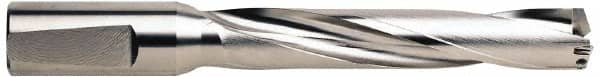 Guhring - 21 to 22.5mm Diam, 5xD, 110mm Max Depth, 1" Shank Diam, 137mm Flute, 197mm OAL, Replaceable Tip Drill - RT 800 WP Insert, 2.2 Seat Size, Series 5243 - Americas Industrial Supply