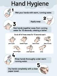 NMC - 18" Wide x 24" High Laminated Paper Hand Hygiene Information Poster - 0.01" Thick, English - Americas Industrial Supply