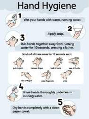 NMC - 18" Wide x 24" High Laminated Paper Hand Hygiene Information Poster - 0.01" Thick, English - Americas Industrial Supply
