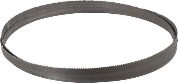 Starrett - 10 to 14 TPI, 7' 9-1/2" Long x 1/2" Wide x 0.025" Thick, Welded Band Saw Blade - Bi-Metal, Toothed Edge, Raker Tooth Set, Contour Cutting - Americas Industrial Supply