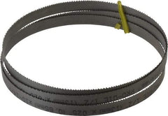 Starrett - 10 to 14 TPI, 5' Long x 1/2" Wide x 0.025" Thick, Welded Band Saw Blade - Bi-Metal, Toothed Edge, Raker Tooth Set, Contour Cutting - Americas Industrial Supply
