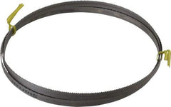 Starrett - 10 TPI, 7' 6" Long x 1/2" Wide x 0.035" Thick, Welded Band Saw Blade - Bi-Metal, Toothed Edge, Raker Tooth Set, Contour Cutting - Americas Industrial Supply