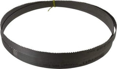 Starrett - 6 to 10 TPI, 8' 2-1/2" Long x 3/4" Wide x 0.035" Thick, Welded Band Saw Blade - Bi-Metal, Toothed Edge, Raker Tooth Set, Contour Cutting - Americas Industrial Supply
