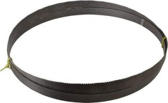 Starrett - 6 to 10 TPI, 12' 10" Long x 1" Wide x 0.035" Thick, Welded Band Saw Blade - Bi-Metal, Toothed Edge, Raker Tooth Set, Contour Cutting - Americas Industrial Supply