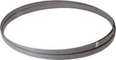 Starrett - 10 to 14 TPI, 14' 5" Long x 1/2" Wide x 0.035" Thick, Welded Band Saw Blade - Bi-Metal, Toothed Edge, Raker Tooth Set, Contour Cutting - Americas Industrial Supply