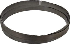 Starrett - 6 to 10 TPI, 15' 6" Long x 1" Wide x 0.035" Thick, Welded Band Saw Blade - Bi-Metal, Toothed Edge, Raker Tooth Set, Contour Cutting - Americas Industrial Supply
