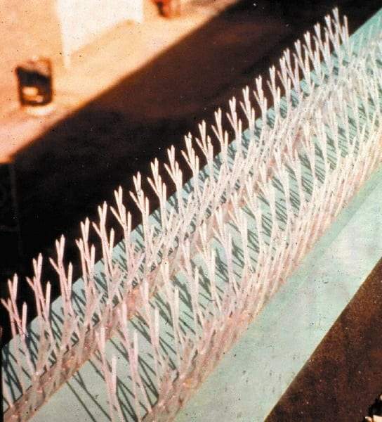 Bird-X - Plastic Bird Spikes - 4-1/2 Inch High x 2-1/4 Inch Wide x 25 Ft. Long x 0.5 Inch Thick - Americas Industrial Supply