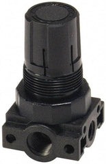 Parker - 3/8 NPT Port, Plastic Miniature Regulator - 0 to 60 psi Range, 150 Max psi Supply Pressure, 1/4" Gauge Port Thread, 2.06" Wide x 3.43" High - Americas Industrial Supply