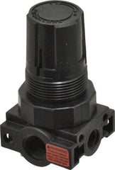 Parker - 1/4 NPT Port, Plastic Miniature Regulator - 0 to 25 psi Range, 150 Max psi Supply Pressure, 1/8" Gauge Port Thread, 1.6" Wide x 3.1" High - Americas Industrial Supply