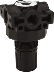 Parker - 3/8 NPT Port, Plastic Miniature Regulator - 0 to 25 psi Range, 150 Max psi Supply Pressure, 1/4" Gauge Port Thread, 2.06" Wide x 3.43" High - Americas Industrial Supply