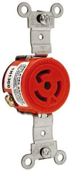 Leviton - 125 VAC, 15 Amp, 5-15R NEMA, Self Grounding Receptacle - 2 Poles, 3 Wire, Female End, Orange - Americas Industrial Supply