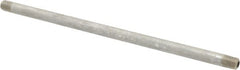 Merit Brass - Schedule 80, 1/4" Pipe x 12" Long, Grade 316/316L Stainless Steel Pipe Nipple - Seamless & Threaded - Americas Industrial Supply