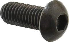 Holo-Krome - 1/2-13 UNC Hex Socket Drive, Button Screw - Alloy Steel, Black Oxide Finish, Fully Threaded, 1-1/4" Length Under Head - Americas Industrial Supply