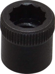 Holo-Krome - 5/16-24" Thread Uncoated Steel Allen Nut - 5/16" Diam, 5/16" Hex Key - Americas Industrial Supply