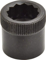 Holo-Krome - 3/4-10" Thread Uncoated Steel Allen Nut - 3/4" Diam, 3/4" Hex Key - Americas Industrial Supply