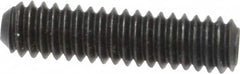 Holo-Krome - 1/4-20 UNC, 1" OAL, Cup Point Set Screw - Grade 8 Alloy Steel, 1/8" Key - Americas Industrial Supply