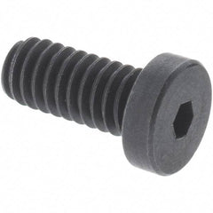 Value Collection - M5x0.80 Metric Coarse Hex Socket Drive, Low Socket Cap Screw - Grade 10.9 Alloy Steel, Black Oxide Finish, Fully Threaded, 25mm Length Under Head - Americas Industrial Supply