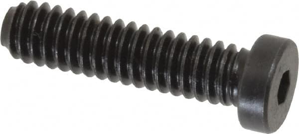 Holo-Krome - 1/4-20 UNC Hex Socket Drive, Low Socket Cap Screw - Alloy Steel, Black Oxide Finish, Fully Threaded, 1" Length Under Head - Americas Industrial Supply