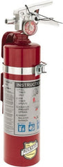 Buckeye Fire - 2.5 Lb, 1-A:10-B:C Rated, Dry Chemical Fire Extinguisher - Americas Industrial Supply