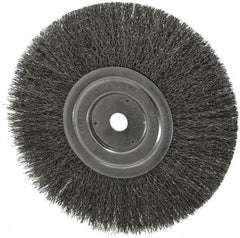 Weiler - 8" OD, 5/8" Arbor Hole, Crimped Steel Wheel Brush - 1/2" Face Width, 2-1/16" Trim Length, 0.0118" Filament Diam, 6,000 RPM - Americas Industrial Supply