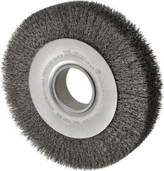 Weiler - 8" OD, 2" Arbor Hole, Crimped Steel Wheel Brush - 1-1/2" Face Width, 1-3/8" Trim Length, 0.014" Filament Diam, 4,500 RPM - Americas Industrial Supply