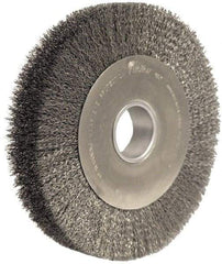 Weiler - 10" OD, 2" Arbor Hole, Crimped Steel Wheel Brush - 2" Face Width, 1-7/8" Trim Length, 0.02" Filament Diam, 4,000 RPM - Americas Industrial Supply