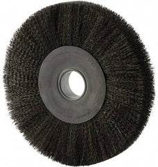 Weiler - 12" OD, 2" Arbor Hole, Crimped Steel Wheel Brush - 2" Face Width, 2-7/8" Trim Length, 0.014" Filament Diam, 3,000 RPM - Americas Industrial Supply