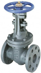 NIBCO - 2" Pipe, Class 250, Flanged Iron Solid Wedge OS & Y Gate Valve - 500 WOG, 250 WSP, Bolted Bonnet - Americas Industrial Supply