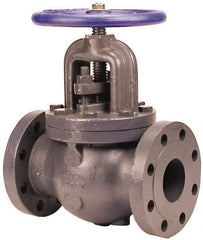 NIBCO - 2-1/2" Pipe, Flanged Ends, Iron Renewable Globe Valve - Bronze Disc, Bolted Bonnet, 500 psi WOG, 250 psi WSP, Class 250 - Americas Industrial Supply