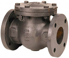 NIBCO - 8" Cast Iron Check Valve - Flanged, 200 WOG - Americas Industrial Supply