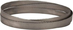 Lenox - 4 to 6 TPI, 11' 6" Long x 1-1/4" Wide x 0.042" Thick, Welded Band Saw Blade - Bi-Metal, Toothed Edge, Raker Tooth Set, Flexible Back - Americas Industrial Supply