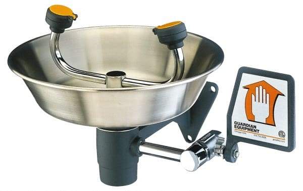 PRO-SAFE - Wall Mount, Stainless Steel Bowl, Eyewash Station - 1/2" Inlet - Americas Industrial Supply