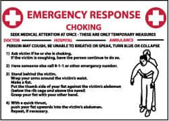 NMC - "Emergency Response - Choking", 10" Long x 14" Wide, Rigid Plastic Safety Sign - Rectangle, 0.05" Thick, Use for First Aid - Americas Industrial Supply