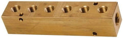 Made in USA - 1/2" Inlet, 3/8" Outlet Manifold - 6-3/4" Long x 1-1/2" Wide x 1-1/2" High, 0.2" Mount Hole, 2 Inlet Ports, 6 Outlet Ports - Americas Industrial Supply