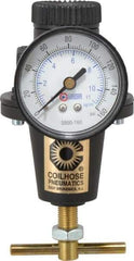 Coilhose Pneumatics - 3/8 NPT Port, 40 CFM, Cast Aluminum Heavy-Duty T-Handle Regulator - 0 to 125 psi Range, 250 Max psi Supply Pressure, 1/4" Gauge Port Thread, 3" Wide x 5-1/2" High - Americas Industrial Supply