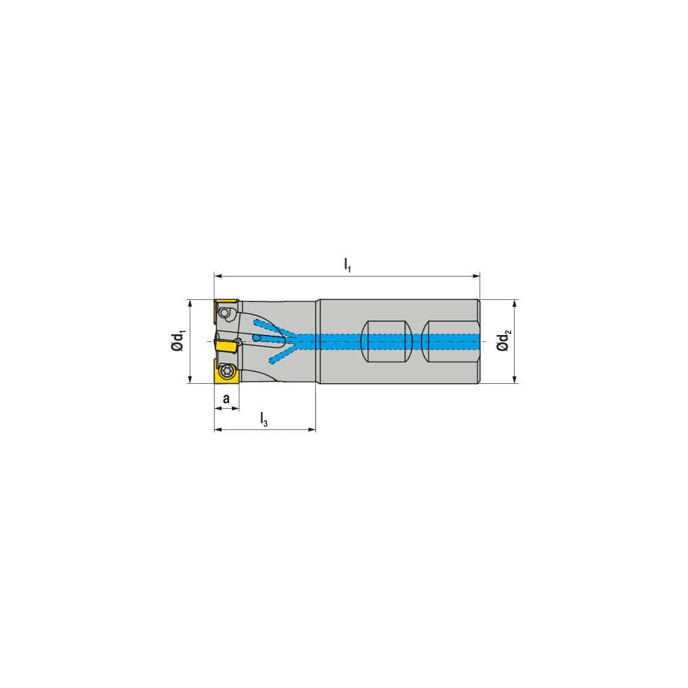 Indexable Square-Shoulder End Mill:  C490.32.R.04-09-B-40,  32.0000'' Shank Dia,  Weldon Flat Shank Uses  4,  Normal Pressure,  100.00 mm OAL