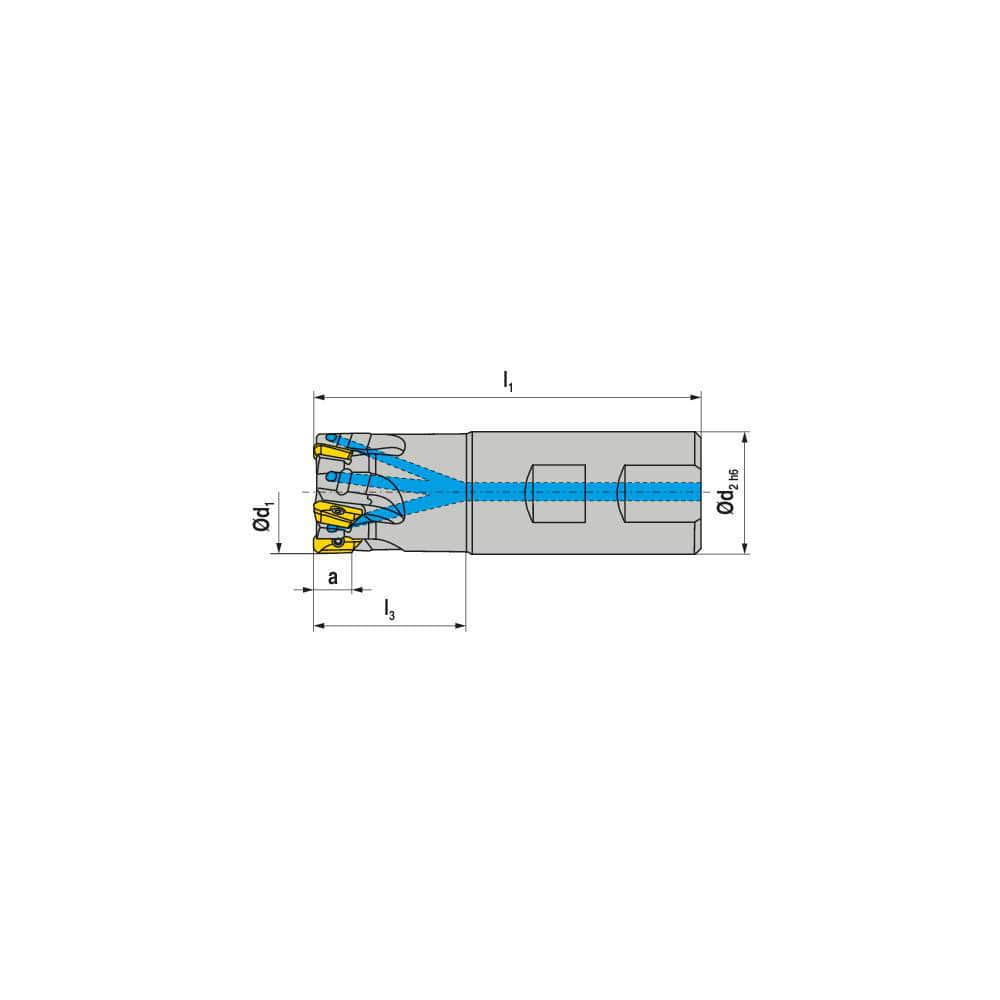 Indexable Square-Shoulder End Mill:  C211125R0511B100150EF,  1.2500'' Cut Dia,  0.3940'' Max Depth of Cut,  1.0000'' Shank Dia,  Weldon Flat Shank Uses  5,  Normal Pressure,