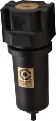 Coilhose Pneumatics - 3/4" Port Coalescing Filter - Americas Industrial Supply