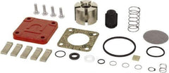 Tuthill - Repair Part Kit - For Use with Diaphragm Pumps - Americas Industrial Supply