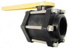 Green Leaf - 3" Pipe, Full Port, Polypropylene Standard Ball Valve - 3 Piece, Inline - One Way Flow, FNPT x FNPT Ends, Lever Handle, 100 WOG - Americas Industrial Supply