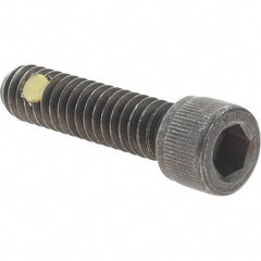 Value Collection - 1/4-20 UNC Hex Socket Drive, Socket Cap Screw - Alloy Steel, Black Oxide Finish, Fully Threaded, 1" Length Under Head - Americas Industrial Supply