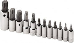 SK - 12 Piece 1/4, 3/8 & 1/2" Drive Torx Bit Socket Set - T10 to T60 Torx - Americas Industrial Supply