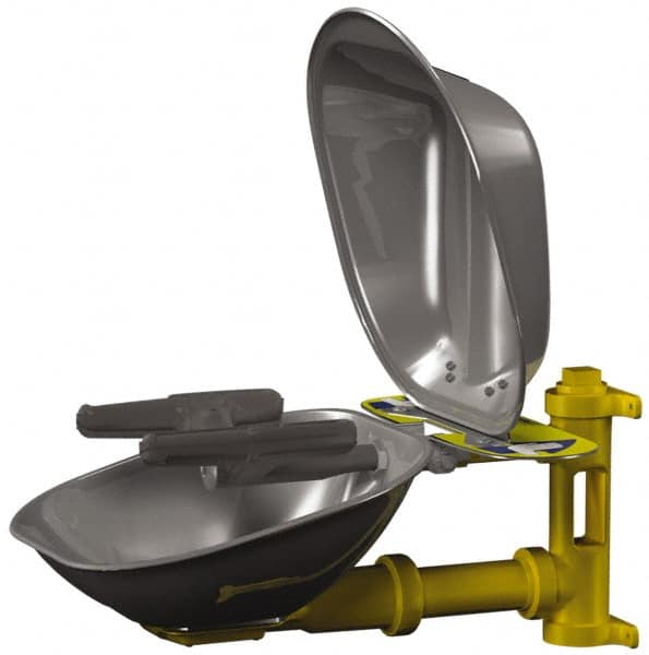 Bradley - Wall Mount, Stainless Steel Bowl, Eye & Face Wash Station - Americas Industrial Supply