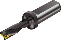 Sandvik Coromant - 39mm Max Drill Depth, 3xD, 12mm Diam, Indexable Insert Drill - 2 Inserts, 20mm Shank Diam, Flange Shank - Americas Industrial Supply