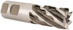 Weldon - 1-1/4" Diam, 2" LOC, 6 Flute High Speed Steel Roughing & Finishing Square End Mill - Uncoated, 4-1/2" OAL, 1-1/4" Shank Diam, Weldon Shank, 30° Helix, Non-Centercutting - Americas Industrial Supply