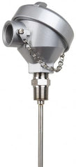 Thermo Electric - -148 to 900°F, 100 OMS Industrial RTD, Thermocouple Probe - 1/2 Inch Hex Mount, 12 Inch Probe Sheath Length, 10 Sec Response Time - Americas Industrial Supply