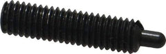 Jergens - M5 x 0.8, 19mm Thread Length, 3mm Plunger Projection, Steel Threaded Spring Plunger - 2.36mm Max Plunger Diam, 19mm Plunger Length, 1.31 Kg Init End Force, 5 Kg Final End Force, 2.5mm Hex - Americas Industrial Supply